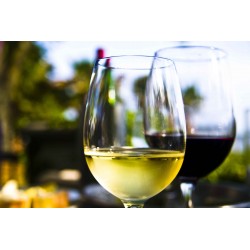 Sauvignon - stáčené bílé
