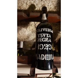 Madeira 1929