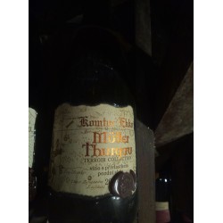 Čejkovice, Templářské sklepy, Pozdní sběr, Müller Thurgau, 2009, suché