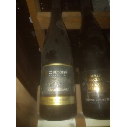 Němčičky, ZD Němčičky, Cuvée Premium, 2015, Výběr z Hroznů, polosuché